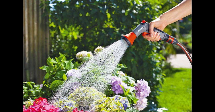 Cooling Your Garden In Summer Heat